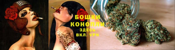 марки lsd Гусиноозёрск
