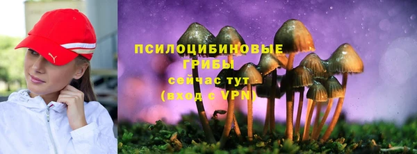 ECSTASY Гусев