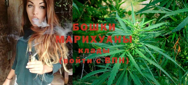 ECSTASY Гусев