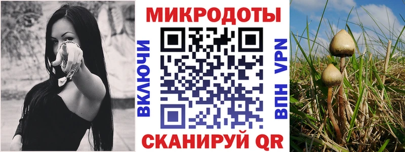 Псилоцибиновые грибы прущие грибы  что такое   Кашира 