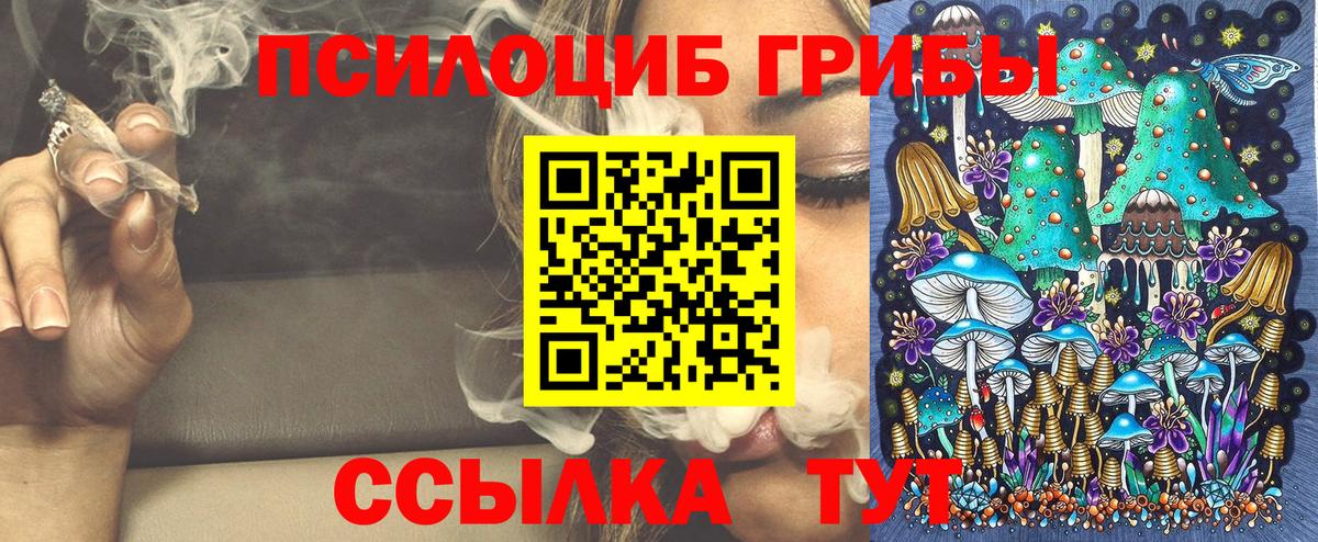 Кашира  Псилоцибиновые грибы мухоморы  Вход с VPN 
