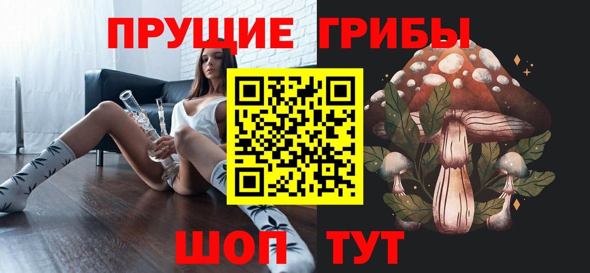 Галлюциногенные грибы Psilocybe Кашира